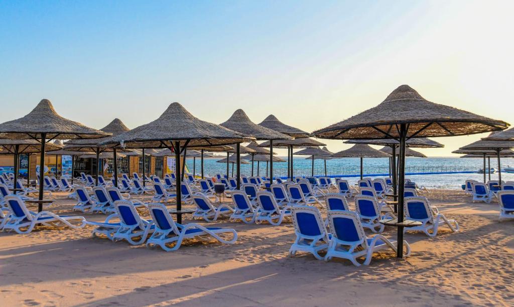 Sharm - Bronze - 15