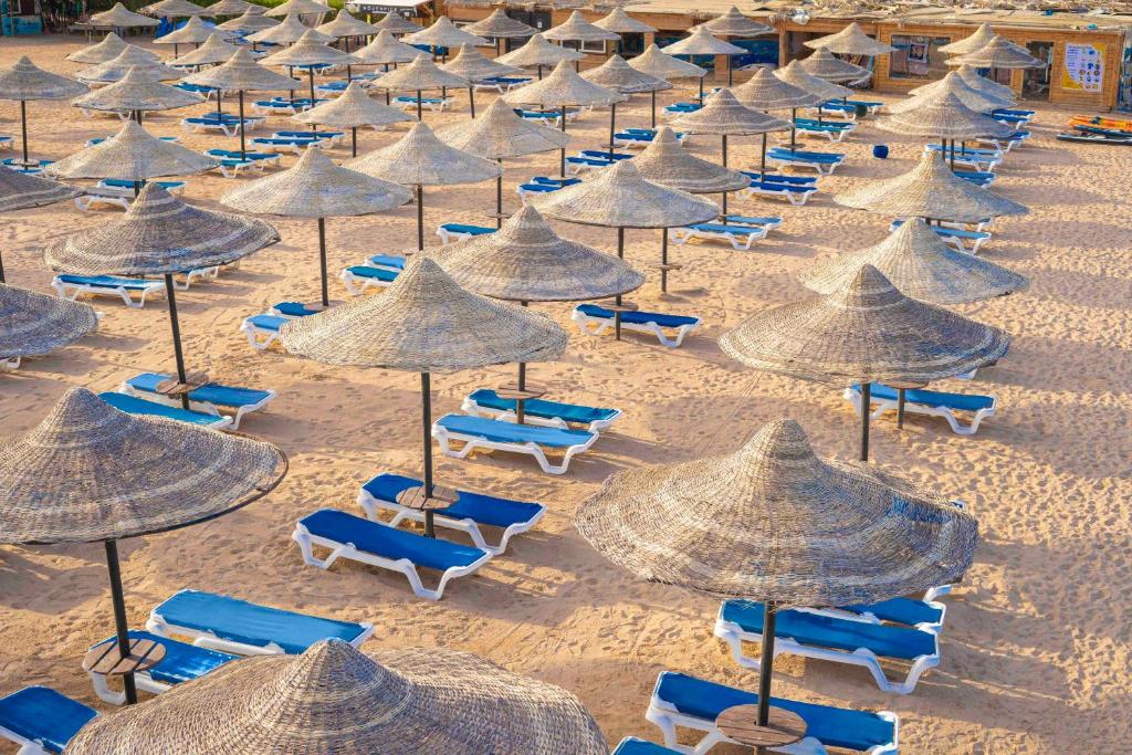 Sharm - Bronze - 18