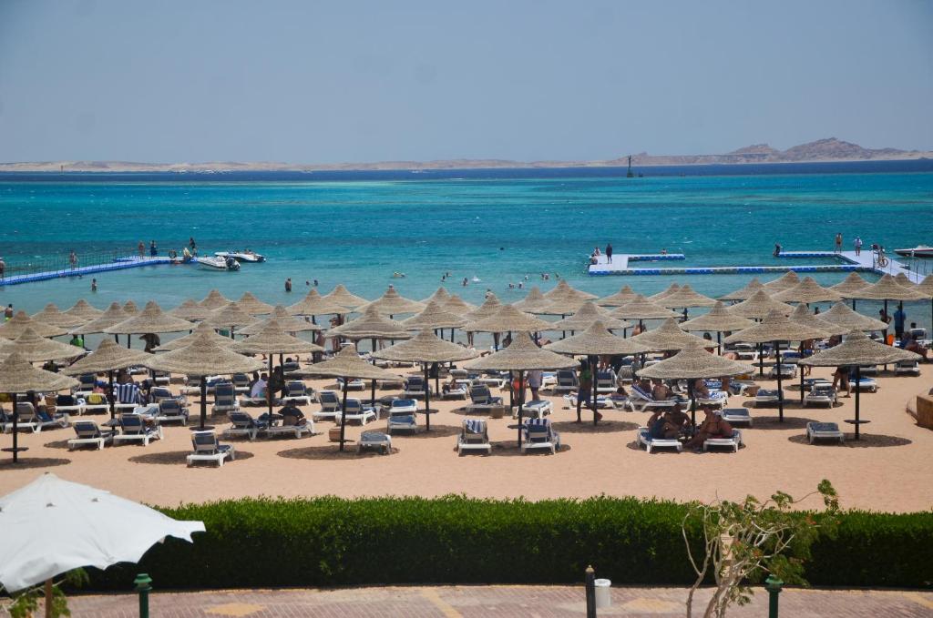 Sharm - Bronze - 19