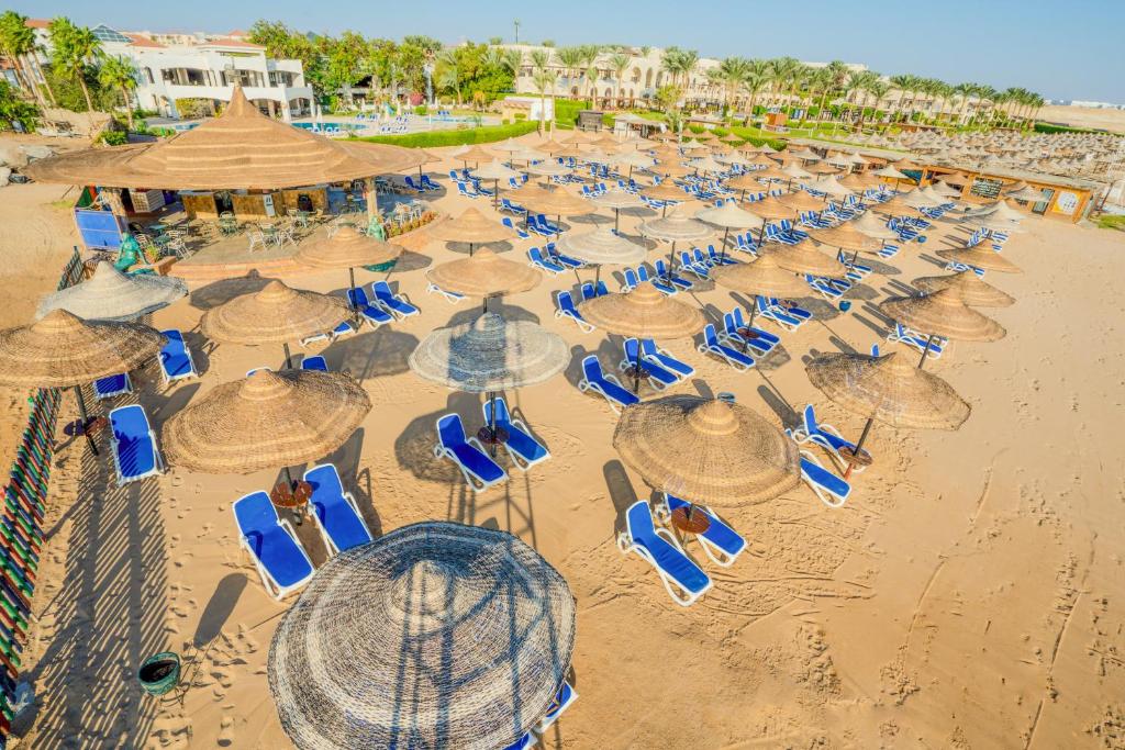 Sharm - Bronze - 7
