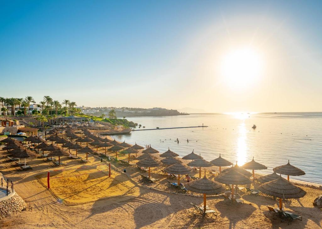 Sharm - Platinum - 15