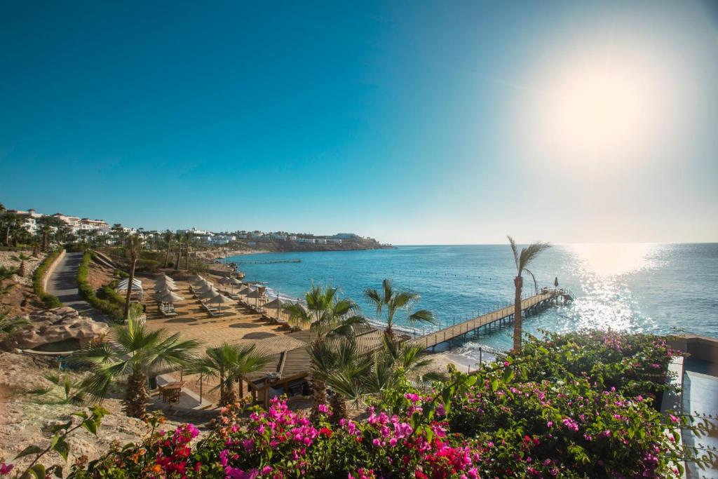 Sharm - Platinum - 7