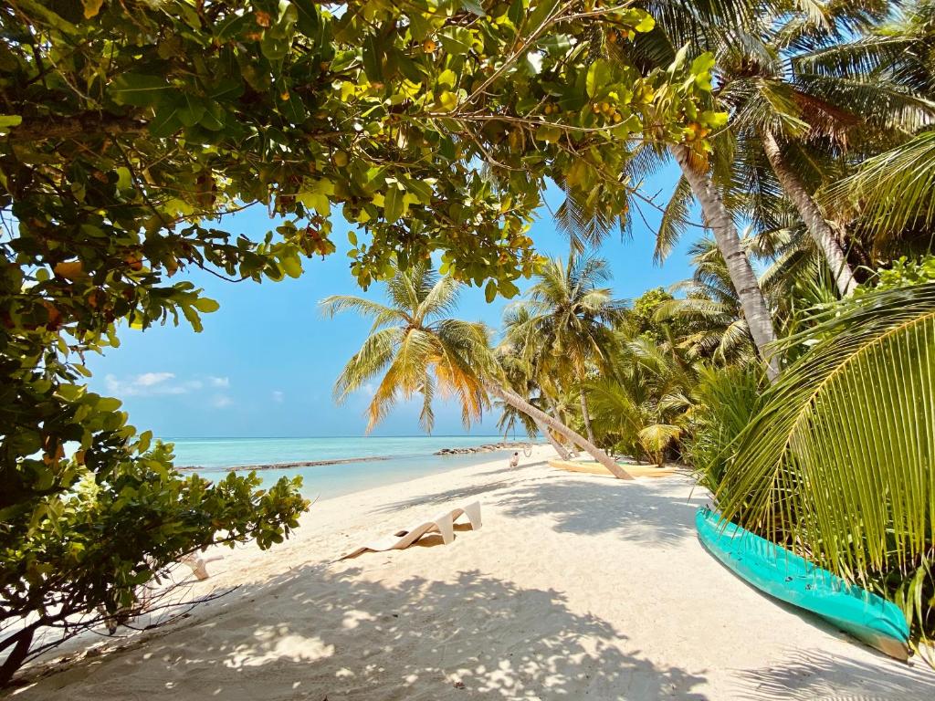 maldive - gh - 1