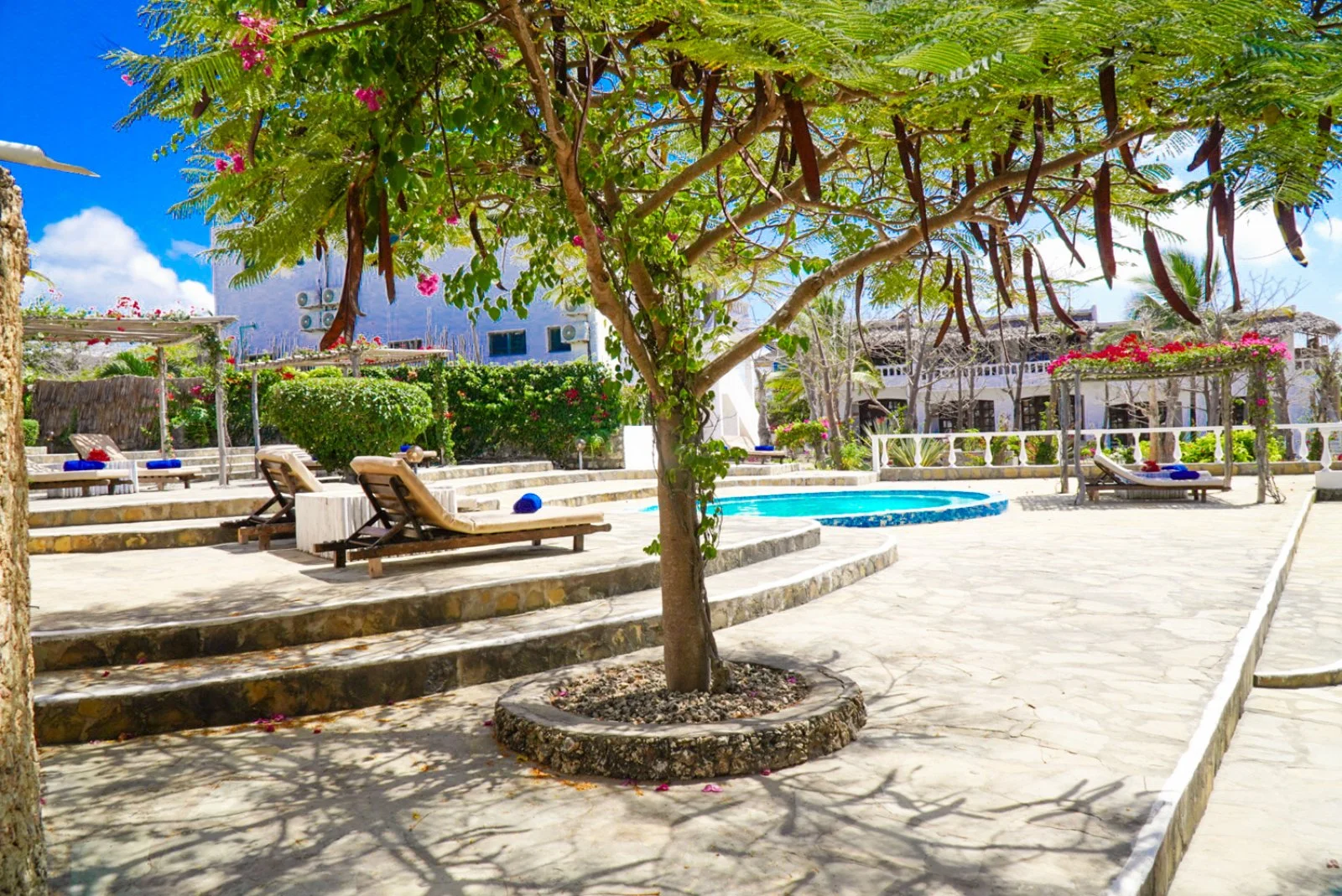 VENTO CLUB - KENYA - Gold - 5