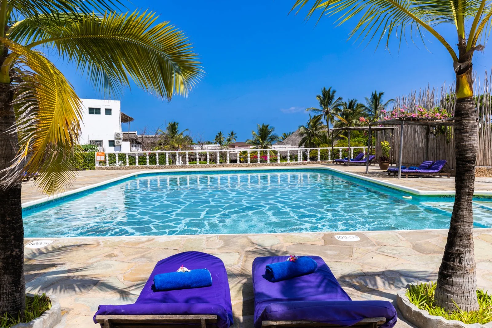 VENTO CLUB - KENYA - Gold - 8