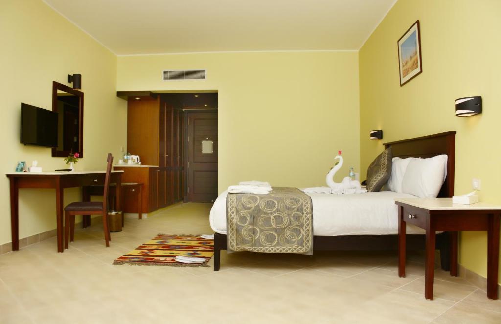 VENTO CLUB - MARSA ALAM - Bronze - 14