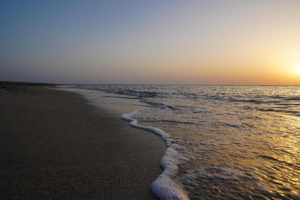 VENTO CLUB - MARSA ALAM - Gold - 10