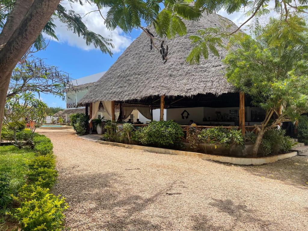 VENTO CLUB - ZANZIBAR - Bronze - 19