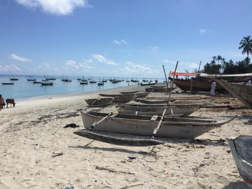 VENTO CLUB - ZANZIBAR - Bronze - 2
