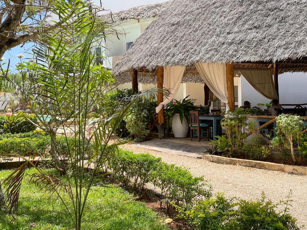 VENTO CLUB - ZANZIBAR - Bronze - 20