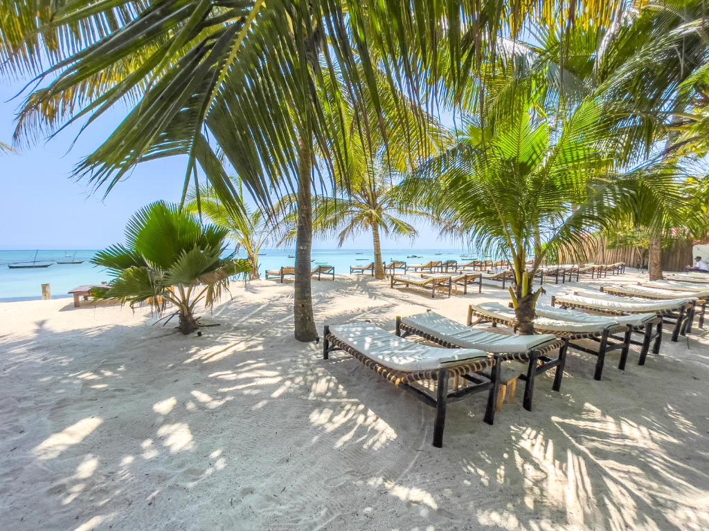 VENTO CLUB - ZANZIBAR - Bronze - 22