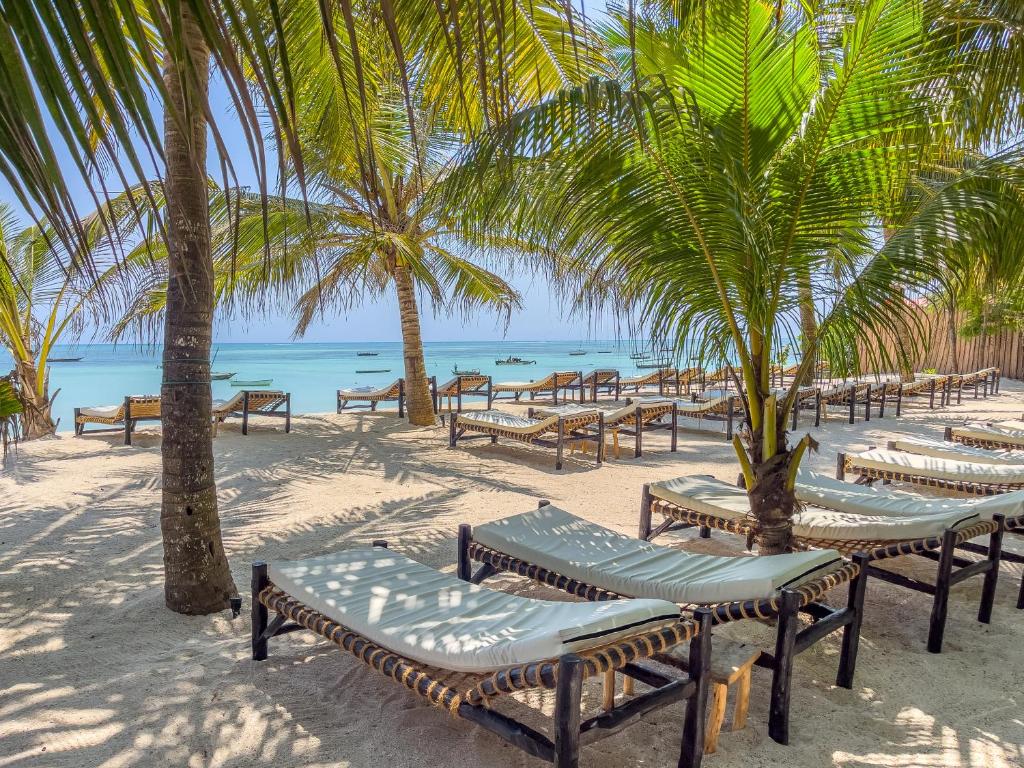VENTO CLUB - ZANZIBAR - Bronze - 24